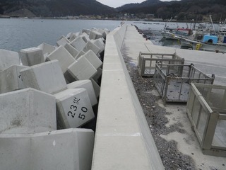 20160309_072牡鹿半島給分浜