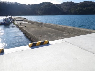 20140115_046牡鹿半島月浦