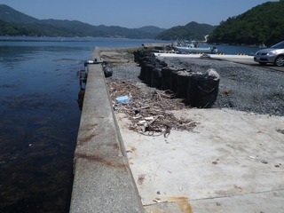 20140528_052牡鹿半島竹浜