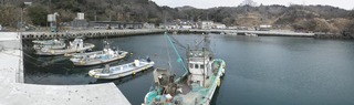 20150408_036牡鹿半島狐崎_stitch