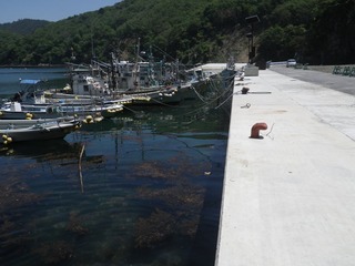 20140528_063牡鹿半島真黒浜