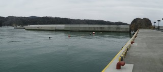 20160309_060牡鹿半島鹿立_stitch