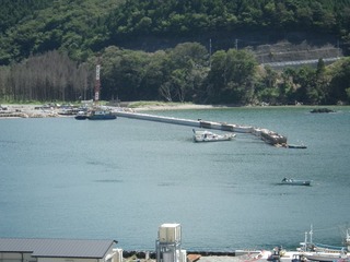 20130828_009牡鹿半島桃浦