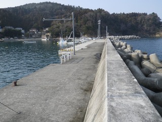 20160308_065女川小屋取