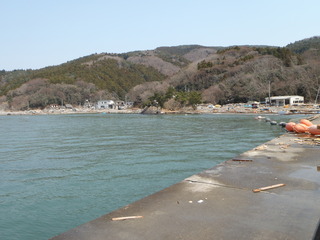 20110413_4130123牡鹿半島渡波佐須