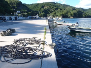 20160719_007牡鹿半島折浜