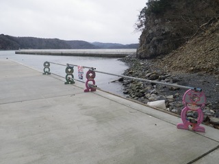 20160309_021牡鹿半島折浜