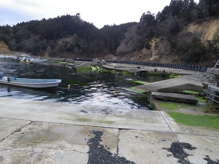 20130220_086牡鹿半島小網倉