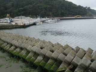 20130612_022牡鹿半島給分浜