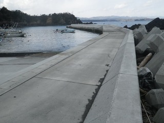 20160302_062旧志津川町南部寺浜