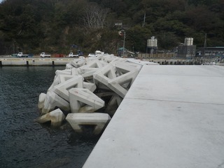 20141105_031牡鹿半島西部狐崎