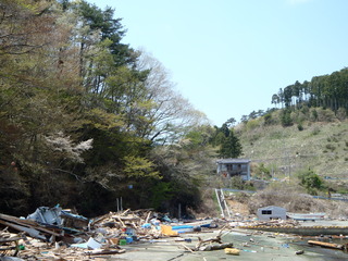 20110504_006雄勝小浜