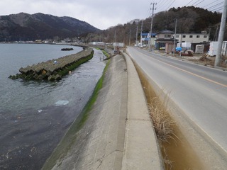 20130220_092牡鹿半島給分浜
