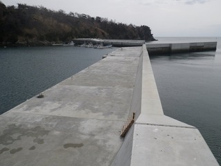 20150408_051牡鹿半島狐崎