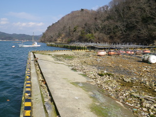 20120328_062牡鹿半島竹浜