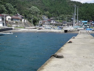 20130828_005牡鹿半島小竹