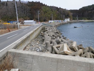 20130227_029女川指ヶ浜