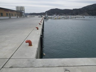 20160309_075牡鹿半島給分浜