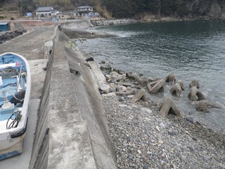 20140312_047旧志津川南部滝浜