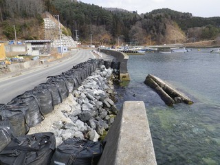 20130227_085雄勝小島