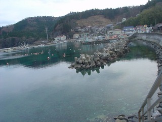 20070209_雄勝水浜-DSC00417