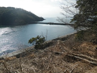 20150204_012牡鹿半島小竹浜