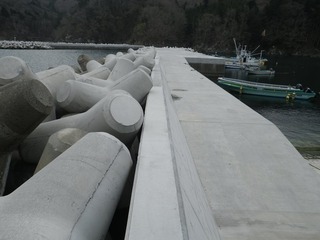 20140423_008女川高白