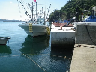 20130828_006牡鹿半島折浜