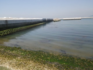 20140528_006牡鹿半島渡波佐須浜