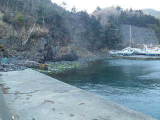 20120328_086牡鹿半島折浜