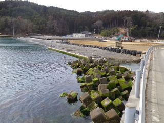 20130220_080牡鹿半島鹿立