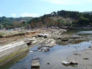 20110608_047牡鹿半島小積浜