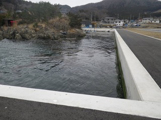 20160309_078牡鹿半島表浜