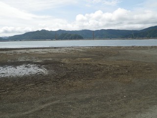 20130724_003追波川河口
