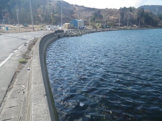 20141119_013女川町飯子浜