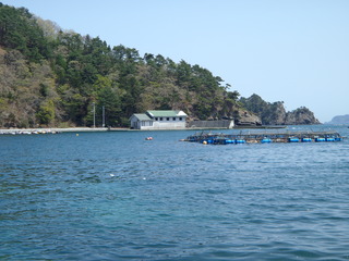 20110504_038女川竹浦