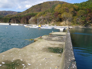 20111116_031女川御前浜