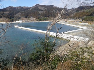 20150204_035牡鹿半島桃浦