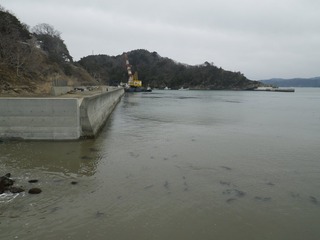 20160309_015牡鹿半島小竹浜