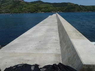 20190508_003牡鹿半島折浜