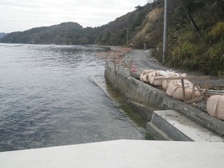 20141105_034牡鹿半島西部真黒浜