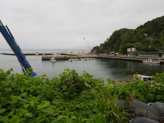 20130612_012牡鹿半島狐崎