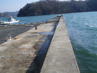 20120328_074牡鹿半島月浦