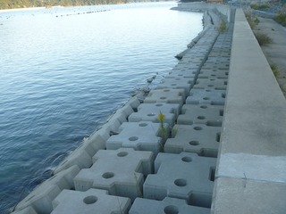 20221028_002雄勝呉壺