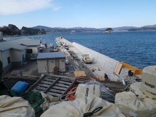 20150114_025旧志津川町南部津の宮