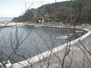 20141105_022牡鹿半島西部狐崎