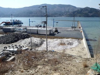 20130404_031女川飯子浜