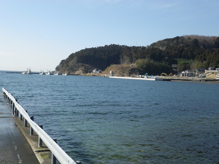 20120118_018牡鹿半島桃浦