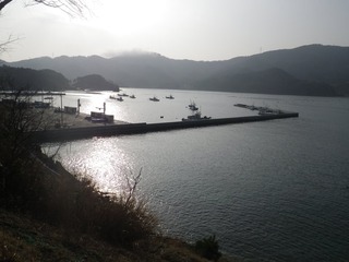 20160308_072女川飯子浜