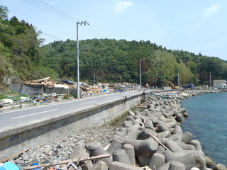 20110622_009女川指ヶ浜